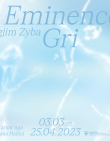 Zgjim Zyba / Grey Eminence