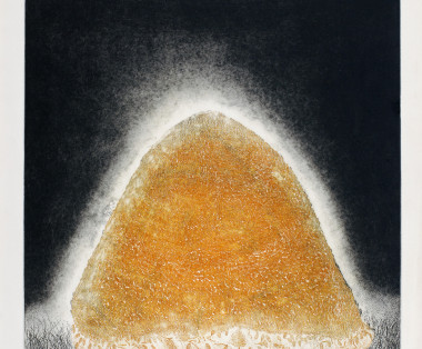Crown of wheat fields