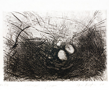 The Cradle