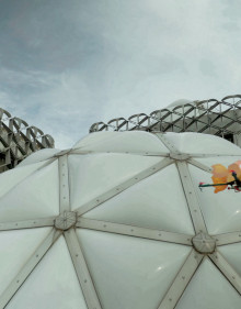 No wise fish would escape without flying