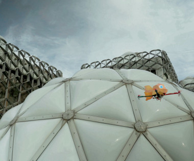 No wise fish would escape without flying