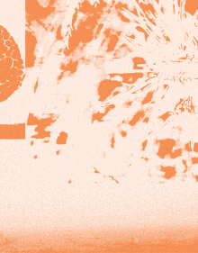 Shtëpi: Ekspozita e Laureatëve të Edicionit të Parë